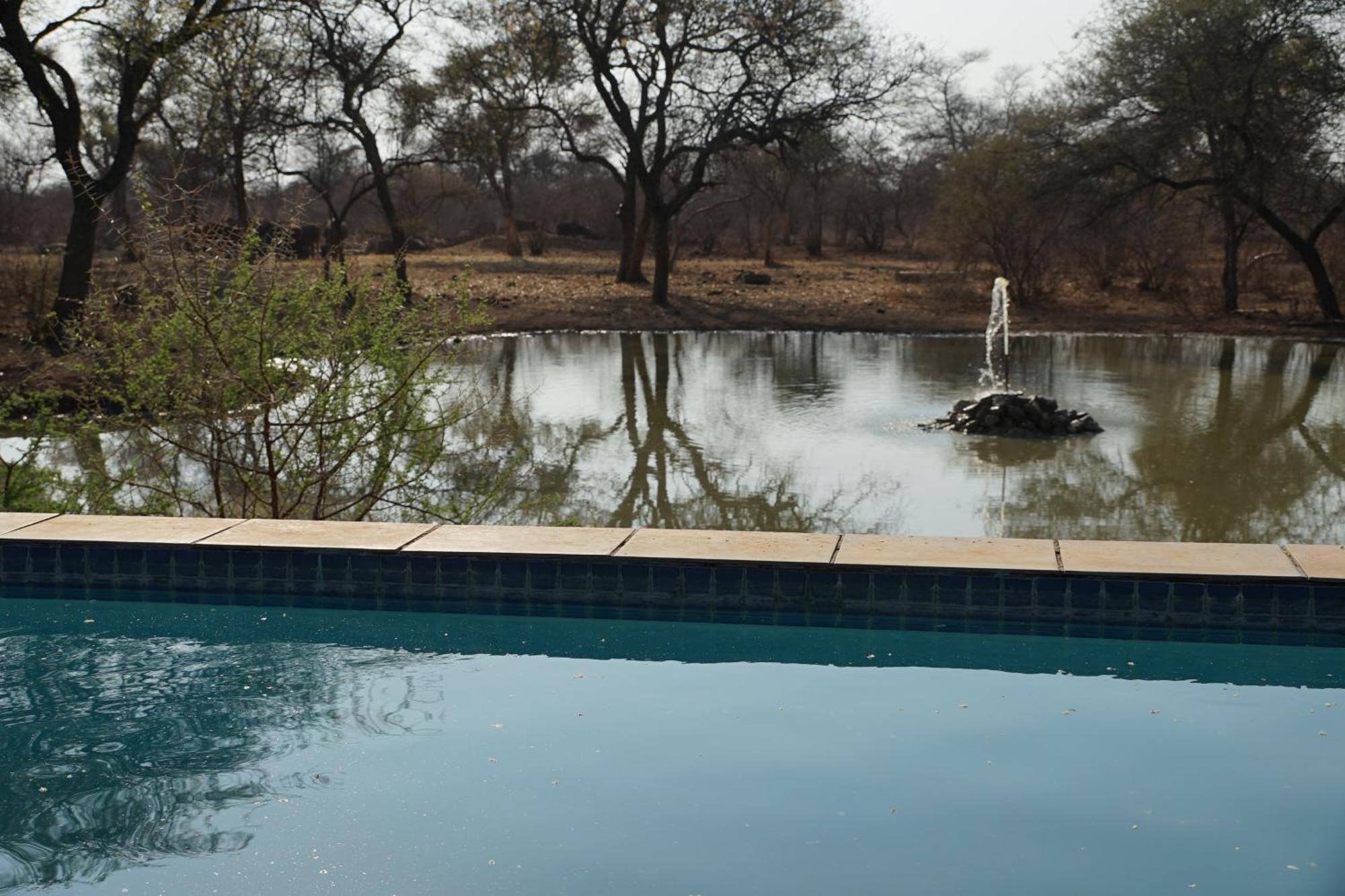 Kwele Game Lodge Beauty Exterior photo