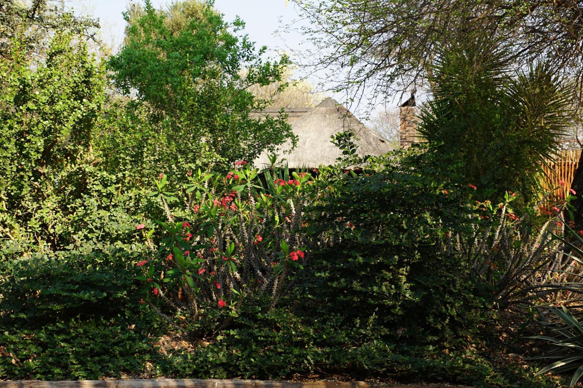 Kwele Game Lodge Beauty Exterior photo